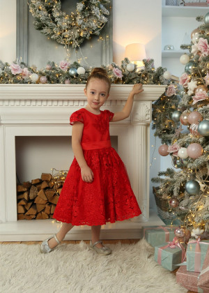 Cap Sleeves Red Lace Flower Girl Dress Christmas Dress